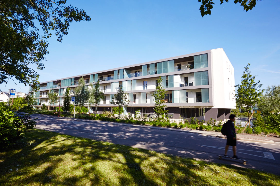 Neubau Mondorf: Rückansicht